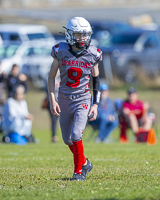 Westshore-warriors-Harwood-Dawgs-VICFA