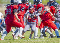 Westshore-warriors-Harwood-Dawgs-VICFA