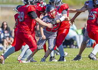 Westshore-warriors-Harwood-Dawgs-VICFA