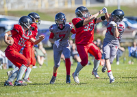 Westshore-warriors-Harwood-Dawgs-VICFA