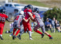 Westshore-warriors-Harwood-Dawgs-VICFA