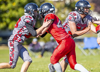 Westshore-warriors-Harwood-Dawgs-VICFA