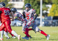 Westshore-warriors-Harwood-Dawgs-VICFA