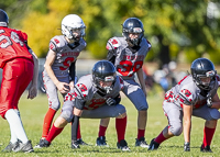 Westshore-warriors-Harwood-Dawgs-VICFA