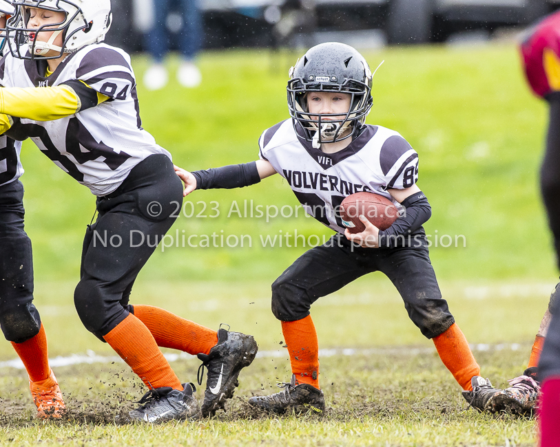 GVMFA Cowichan Bulldogs. Saanich Wolverines