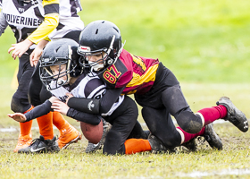 GVMFA-Cowichan-Bulldogs-Saanich-Wolverines