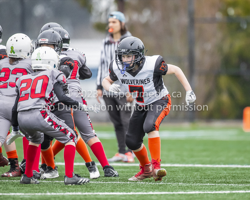 Warriors westshore Wolverines Saanich GVMFA  Goudy Langford football