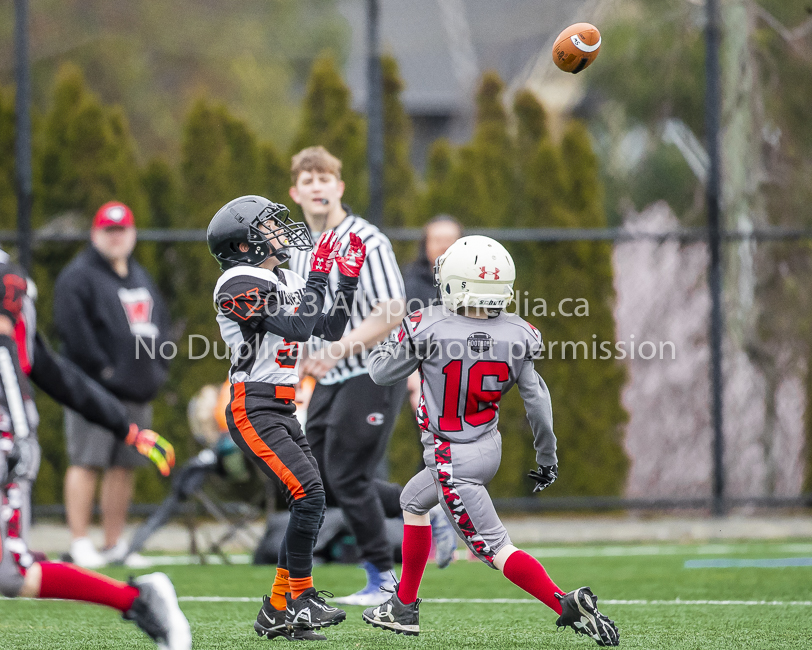 Warriors westshore Wolverines Saanich GVMFA  Goudy Langford football