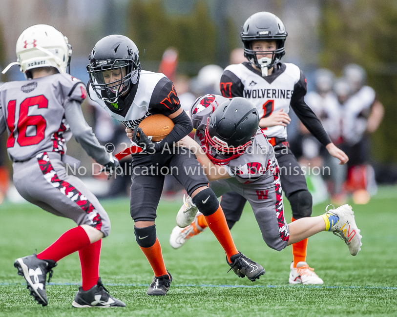 Warriors westshore Wolverines Saanich GVMFA  Goudy Langford football