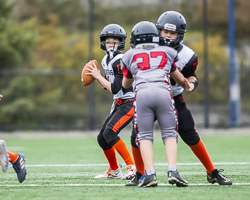 Warriors-westshore-Wolverines-Saanich-GVMFA-Goudy-Langford-football