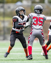 Warriors-westshore-Wolverines-Saanich-GVMFA-Goudy-Langford-football