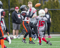 Warriors-westshore-Wolverines-Saanich-GVMFA-Goudy-Langford-football