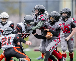 Warriors-westshore-Wolverines-Saanich-GVMFA-Goudy-Langford-football