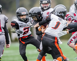 Warriors-westshore-Wolverines-Saanich-GVMFA-Goudy-Langford-football