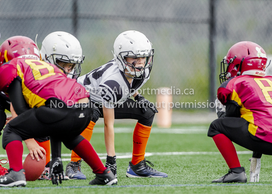 Allsportmedia Photography GVMFA Saanich Wolverines Westshore Warriors Cowichan Bulldogs Oceanside Lions