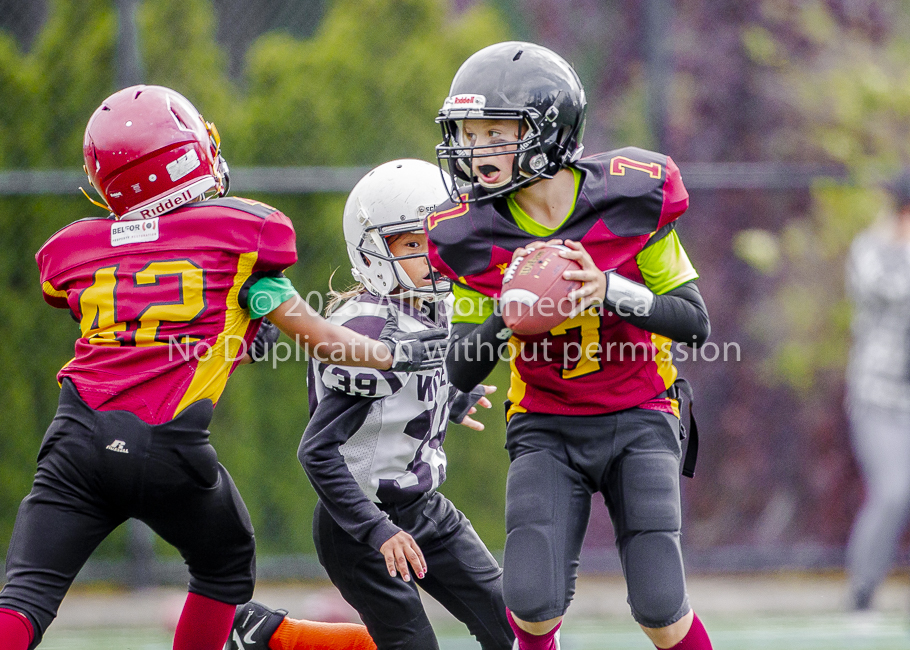 Allsportmedia Photography GVMFA Saanich Wolverines Westshore Warriors Cowichan Bulldogs Oceanside Lions