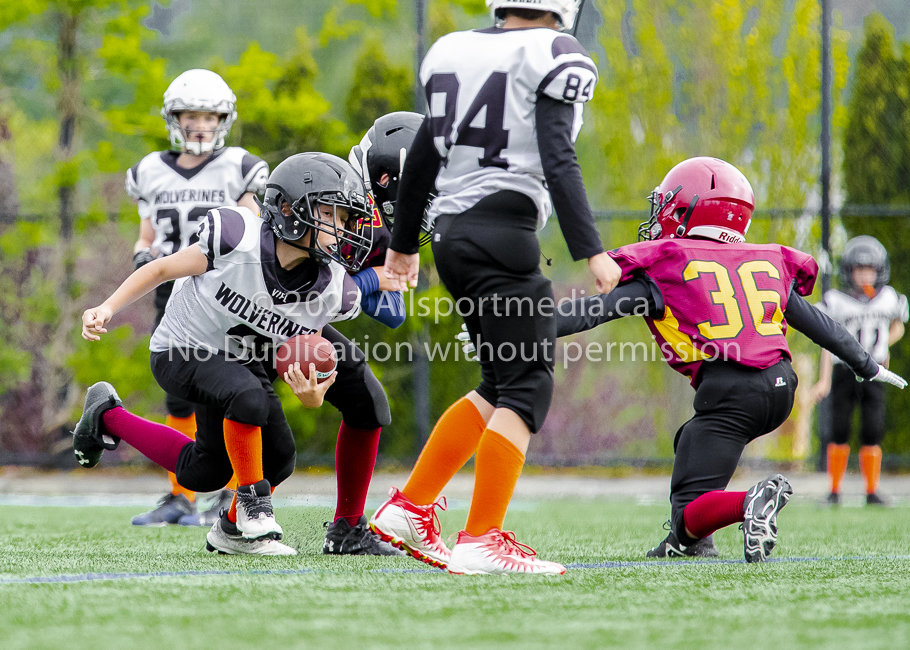 Allsportmedia Photography GVMFA Saanich Wolverines Westshore Warriors Cowichan Bulldogs Oceanside Lions