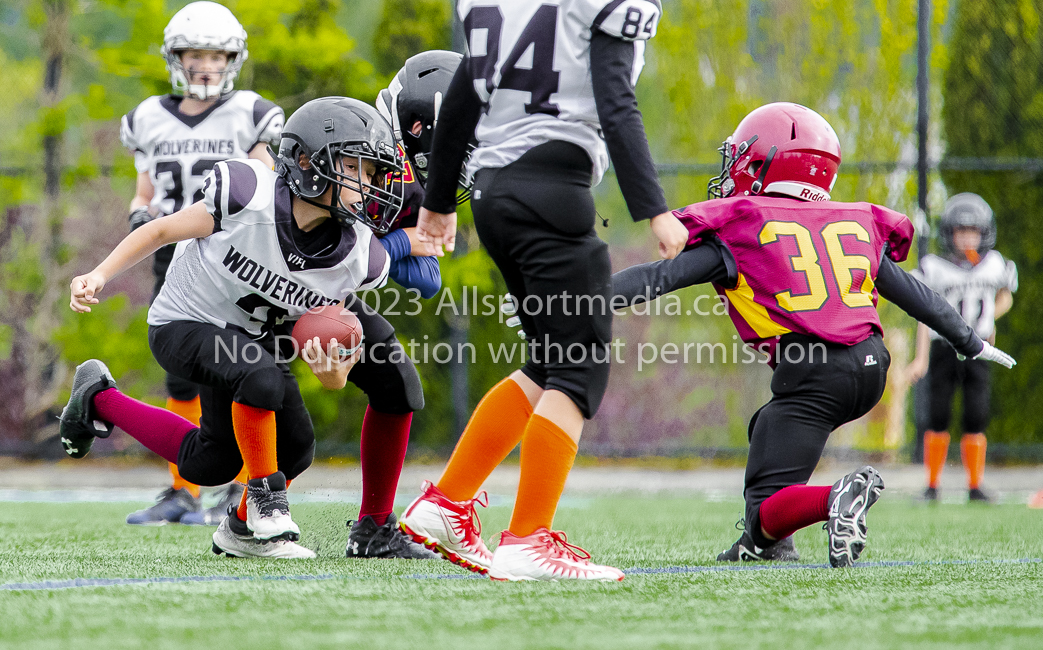 Allsportmedia Photography GVMFA Saanich Wolverines Westshore Warriors Cowichan Bulldogs Oceanside Lions