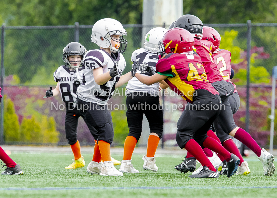 Allsportmedia Photography GVMFA Saanich Wolverines Westshore Warriors Cowichan Bulldogs Oceanside Lions