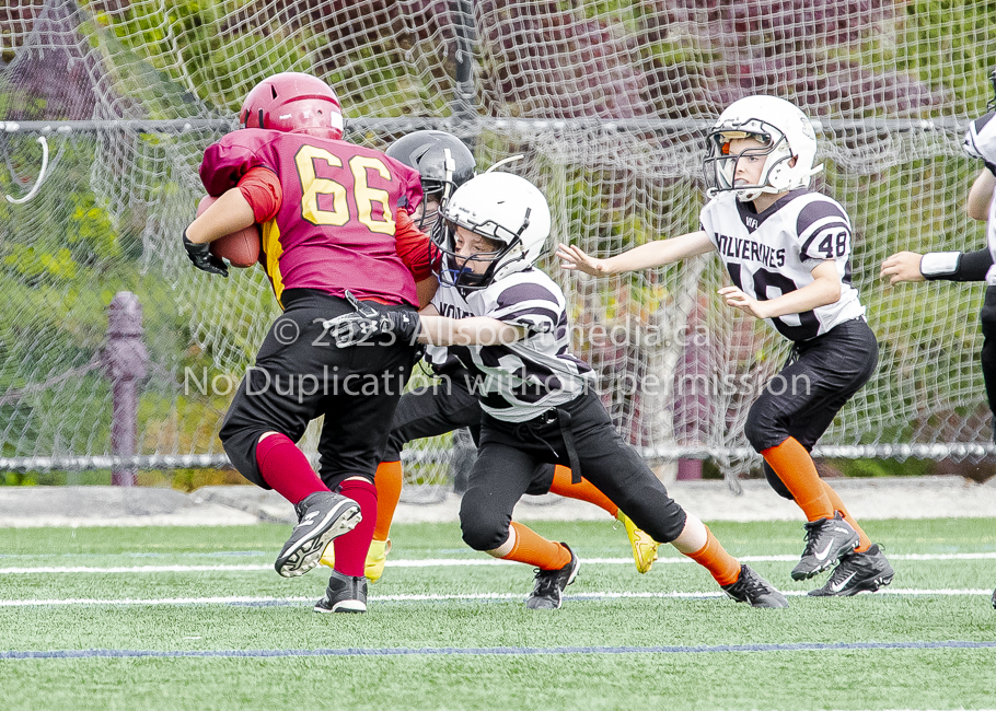 Allsportmedia Photography GVMFA Saanich Wolverines Westshore Warriors Cowichan Bulldogs Oceanside Lions