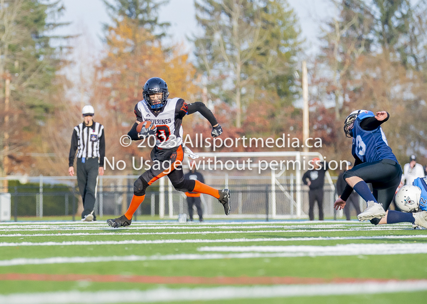 Westshore Rebels ISN Island Sports News BCFC Allsportmedia Langford Football CJFL;Westshore Rebels ISN Island Sports News BCFC Allsportmedia Langford Football CJFL Saanich wolverines