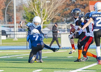 Westshore-Rebels-ISN-Island-Sports-News-BCFC-Allsportmedia-Langford-Football-CJFL;Westshore-Rebels-ISN-Island-Sports-News-BCFC-Allsportmedia-Langford-Football-CJFL-Saanich-wolverines