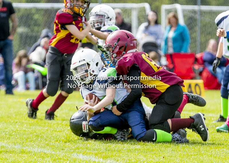 communty football Spartans Warrioirs Westshore Goudy;communty football Spartans Warriors Westshore Goudy SOUTHSIDE DAWGS  HARWOOD cowichan bulldogs nanaimo footbAll isn