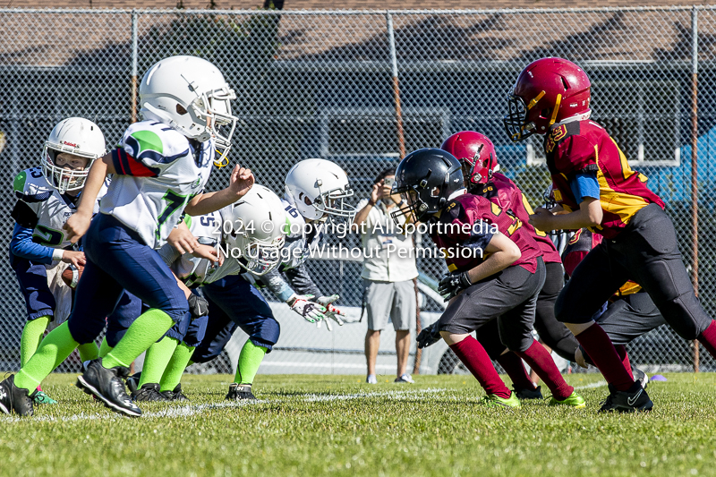 communty football Spartans Warrioirs Westshore Goudy;communty football Spartans Warriors Westshore Goudy SOUTHSIDE DAWGS  HARWOOD cowichan bulldogs nanaimo footbAll isn