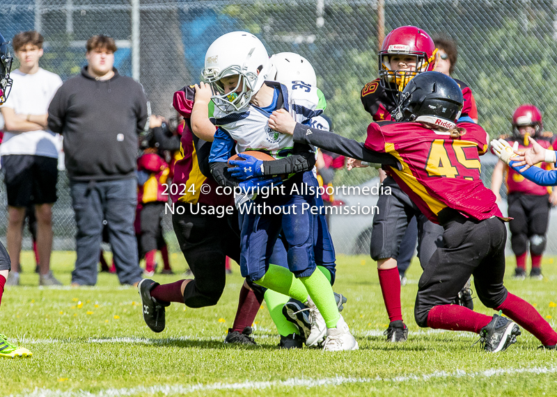 communty football Spartans Warrioirs Westshore Goudy;communty football Spartans Warriors Westshore Goudy SOUTHSIDE DAWGS  HARWOOD cowichan bulldogs nanaimo footbAll isn