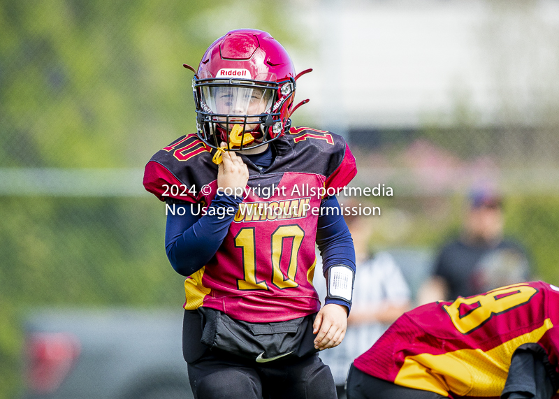 communty football Spartans Warrioirs Westshore Goudy;communty football Spartans Warriors Westshore Goudy SOUTHSIDE DAWGS  HARWOOD cowichan bulldogs nanaimo footbAll isn