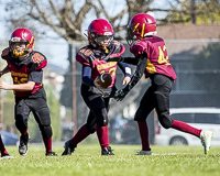 communty-football-Spartans-Warrioirs-Westshore-Goudy;communty-football-Spartans-Warriors-Westshore-Goudy-SOUTHSIDE-DAWGS-HARWOOD-cowichan-bulldogs-nanaimo-footbAll-isn