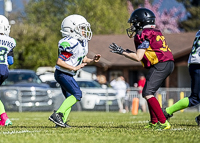 communty-football-Spartans-Warrioirs-Westshore-Goudy;communty-football-Spartans-Warriors-Westshore-Goudy-SOUTHSIDE-DAWGS-HARWOOD-cowichan-bulldogs-nanaimo-footbAll-isn