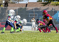 communty-football-Spartans-Warrioirs-Westshore-Goudy;communty-football-Spartans-Warriors-Westshore-Goudy-SOUTHSIDE-DAWGS-HARWOOD-cowichan-bulldogs-nanaimo-footbAll-isn