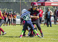 communty-football-Spartans-Warrioirs-Westshore-Goudy;communty-football-Spartans-Warriors-Westshore-Goudy-SOUTHSIDE-DAWGS-HARWOOD-cowichan-bulldogs-nanaimo-footbAll-isn