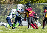 communty-football-Spartans-Warrioirs-Westshore-Goudy;communty-football-Spartans-Warriors-Westshore-Goudy-SOUTHSIDE-DAWGS-HARWOOD-cowichan-bulldogs-nanaimo-footbAll-isn