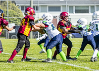 communty-football-Spartans-Warrioirs-Westshore-Goudy;communty-football-Spartans-Warriors-Westshore-Goudy-SOUTHSIDE-DAWGS-HARWOOD-cowichan-bulldogs-nanaimo-footbAll-isn