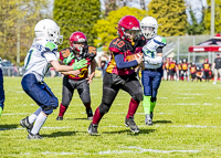 communty-football-Spartans-Warrioirs-Westshore-Goudy;communty-football-Spartans-Warriors-Westshore-Goudy-SOUTHSIDE-DAWGS-HARWOOD-cowichan-bulldogs-nanaimo-footbAll-isn