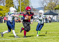 communty-football-Spartans-Warrioirs-Westshore-Goudy;communty-football-Spartans-Warriors-Westshore-Goudy-SOUTHSIDE-DAWGS-HARWOOD-cowichan-bulldogs-nanaimo-footbAll-isn