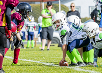 communty-football-Spartans-Warrioirs-Westshore-Goudy;communty-football-Spartans-Warriors-Westshore-Goudy-SOUTHSIDE-DAWGS-HARWOOD-cowichan-bulldogs-nanaimo-footbAll-isn