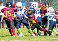 communty-football-Spartans-Warrioirs-Westshore-Goudy;communty-football-Spartans-Warriors-Westshore-Goudy-SOUTHSIDE-DAWGS-HARWOOD-cowichan-bulldogs-nanaimo-footbAll-isn