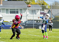 communty-football-Spartans-Warrioirs-Westshore-Goudy;communty-football-Spartans-Warriors-Westshore-Goudy-SOUTHSIDE-DAWGS-HARWOOD-cowichan-bulldogs-nanaimo-footbAll-isn