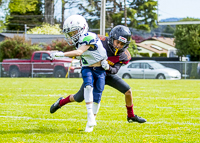 communty-football-Spartans-Warrioirs-Westshore-Goudy;communty-football-Spartans-Warriors-Westshore-Goudy-SOUTHSIDE-DAWGS-HARWOOD-cowichan-bulldogs-nanaimo-footbAll-isn