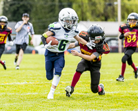 communty-football-Spartans-Warrioirs-Westshore-Goudy;communty-football-Spartans-Warriors-Westshore-Goudy-SOUTHSIDE-DAWGS-HARWOOD-cowichan-bulldogs-nanaimo-footbAll-isn