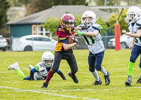 communty-football-Spartans-Warrioirs-Westshore-Goudy;communty-football-Spartans-Warriors-Westshore-Goudy-SOUTHSIDE-DAWGS-HARWOOD-cowichan-bulldogs-nanaimo-footbAll-isn