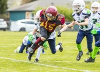 communty-football-Spartans-Warrioirs-Westshore-Goudy;communty-football-Spartans-Warriors-Westshore-Goudy-SOUTHSIDE-DAWGS-HARWOOD-cowichan-bulldogs-nanaimo-footbAll-isn