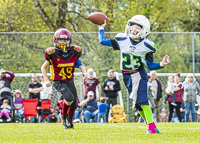 communty-football-Spartans-Warrioirs-Westshore-Goudy;communty-football-Spartans-Warriors-Westshore-Goudy-SOUTHSIDE-DAWGS-HARWOOD-cowichan-bulldogs-nanaimo-footbAll-isn