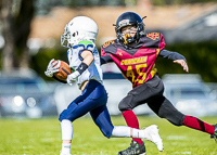 communty-football-Spartans-Warrioirs-Westshore-Goudy;communty-football-Spartans-Warriors-Westshore-Goudy-SOUTHSIDE-DAWGS-HARWOOD-cowichan-bulldogs-nanaimo-footbAll-isn