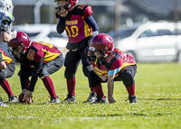 communty-football-Spartans-Warrioirs-Westshore-Goudy;communty-football-Spartans-Warriors-Westshore-Goudy-SOUTHSIDE-DAWGS-HARWOOD-cowichan-bulldogs-nanaimo-footbAll-isn