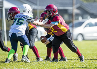 communty-football-Spartans-Warrioirs-Westshore-Goudy;communty-football-Spartans-Warriors-Westshore-Goudy-SOUTHSIDE-DAWGS-HARWOOD-cowichan-bulldogs-nanaimo-footbAll-isn