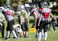 communty-football-Spartans-Warrioirs-Westshore-Goudy-SOUTHSIDE-DAWGS-HARWOOD